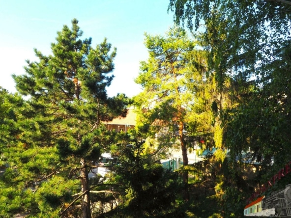 P9100030