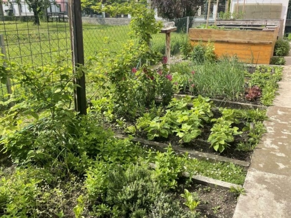 Garten.