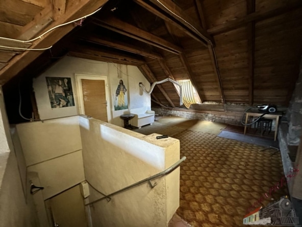 IMG_1880