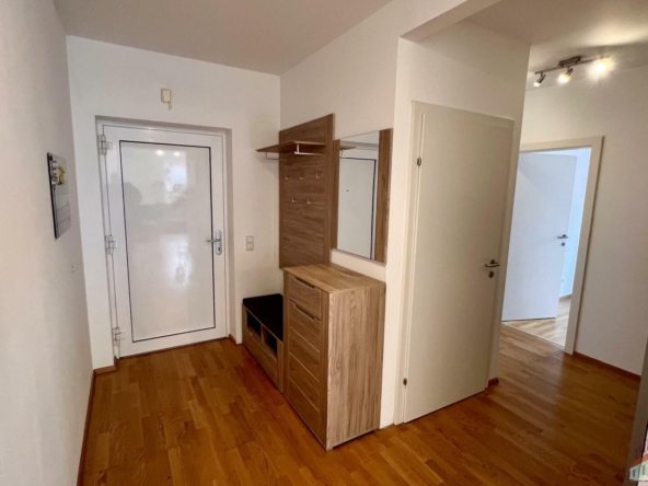Vorraum mit Blick Eingangstüre und Gang Richtung Zimmer
