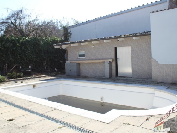 IMG_5413