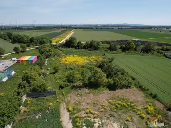 DJI_0069
