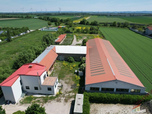 DJI_0052
