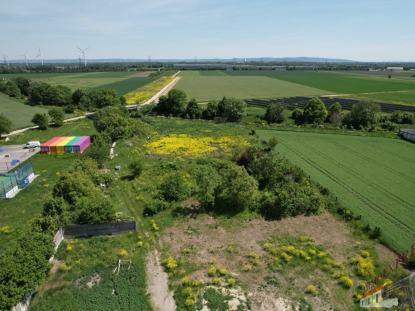 DJI_0069