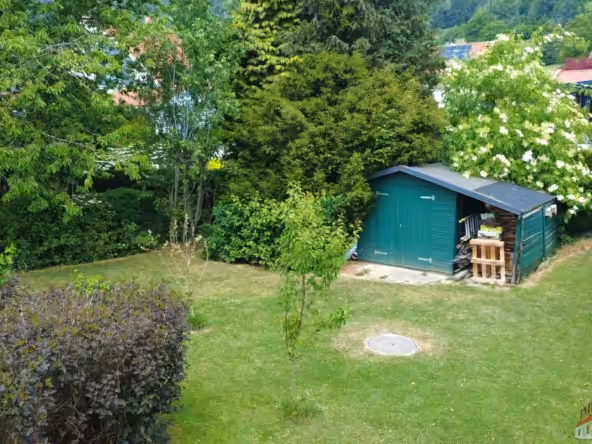 DJI_0331