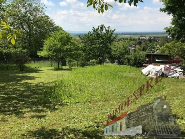 Unbenannt-19
