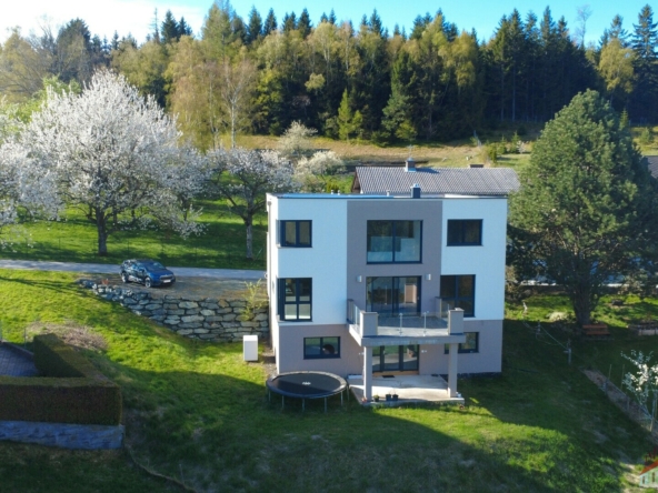DJI_0273