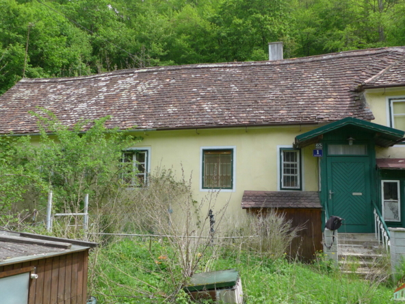 P1040850
