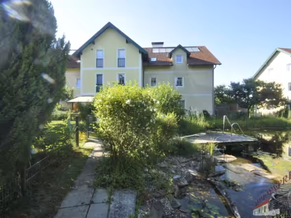 Bild1