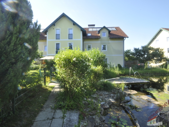 Bild1
