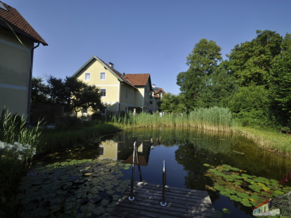 Bild24